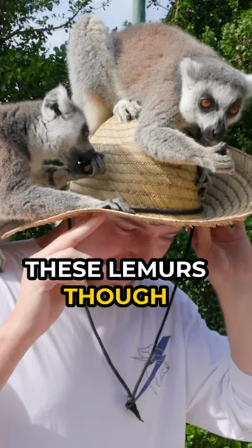 Sunday TikTok post: a vertical clip with subtitles